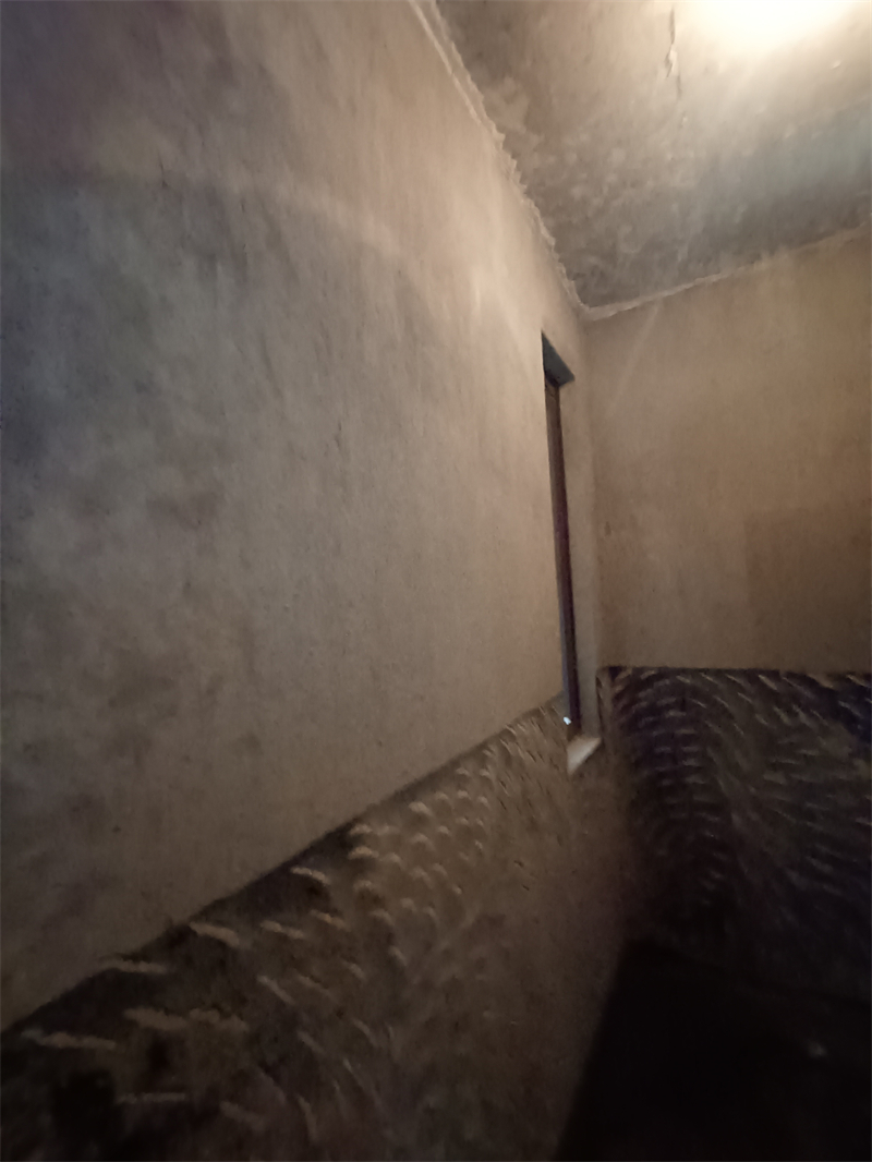 IMG_20241217_124550.jpg