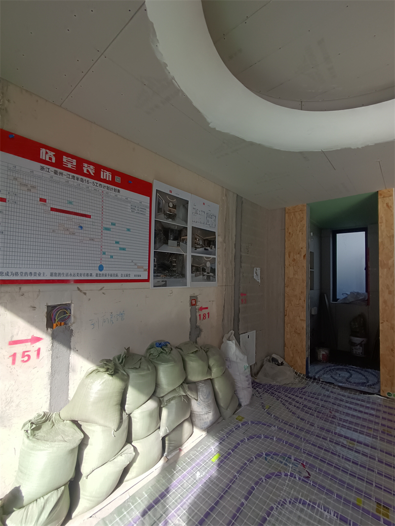 IMG_20241217_105449.jpg