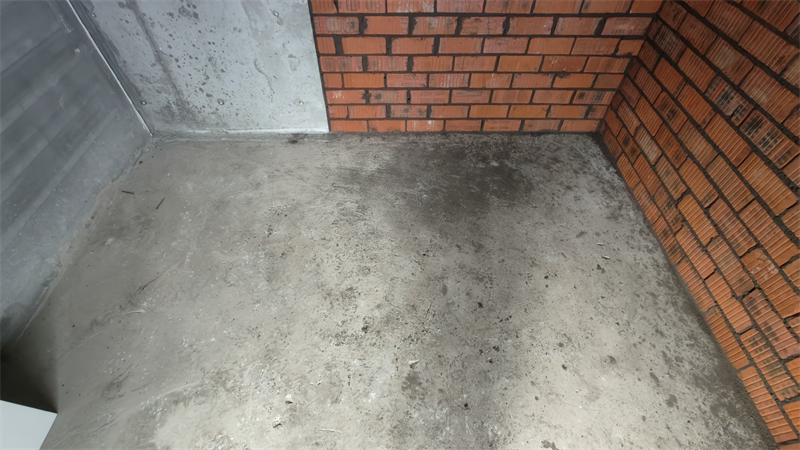 IMG20241217143116.jpg
