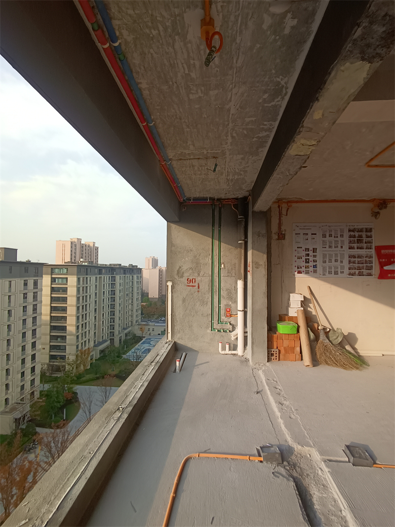 IMG_20241218_082112.jpg
