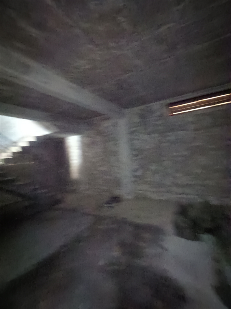 IMG_20241218_111213.jpg