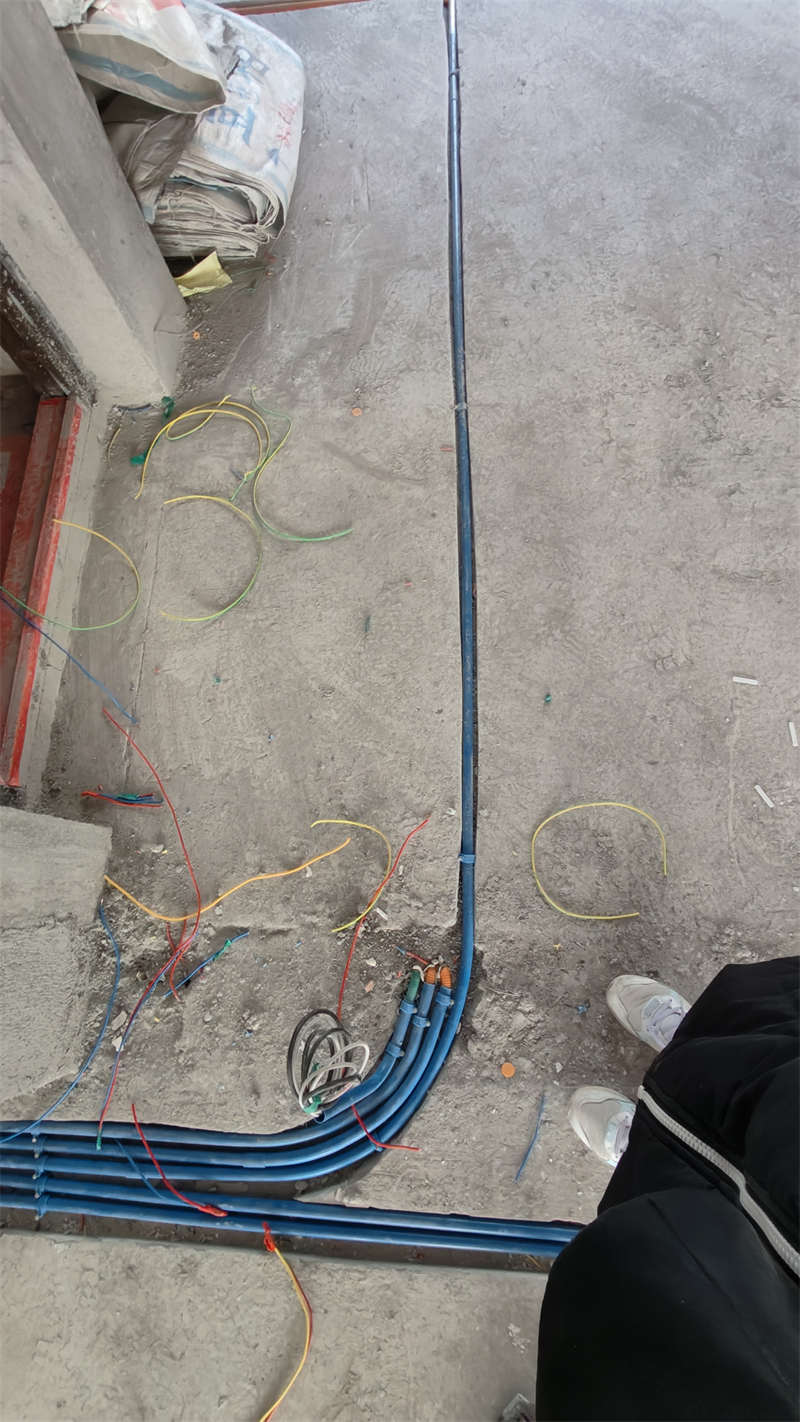 IMG20241219142510.jpg