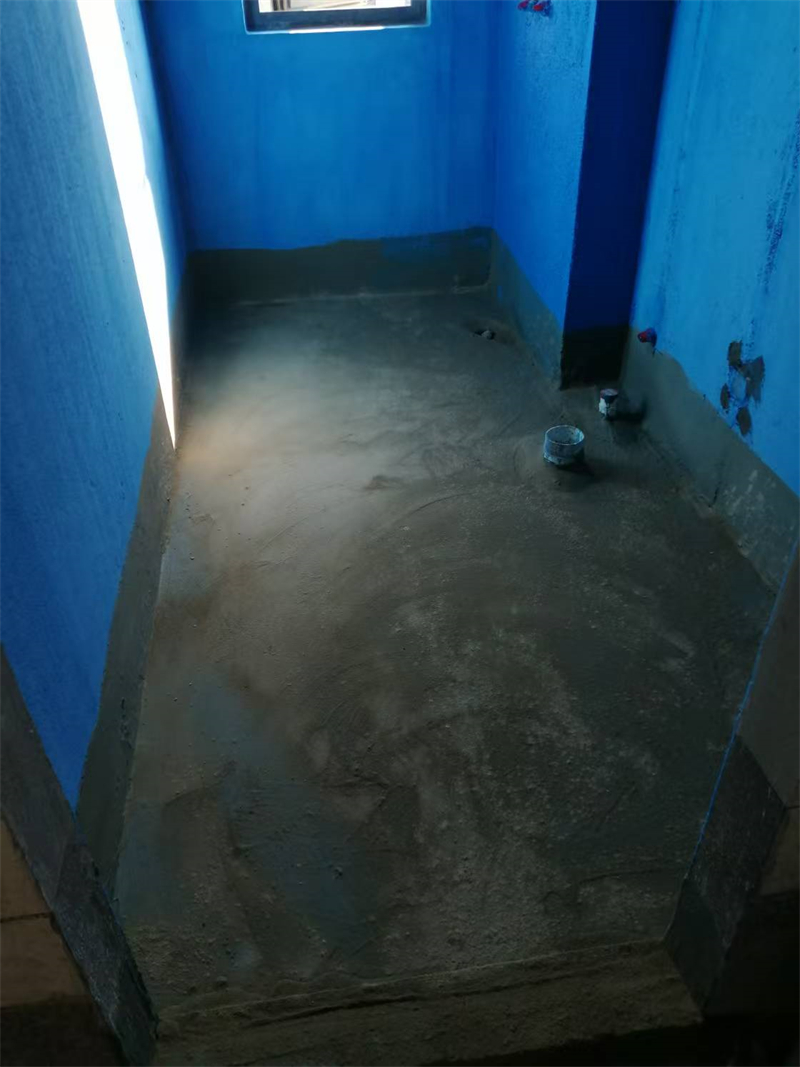 mmexport1734677724502.jpg