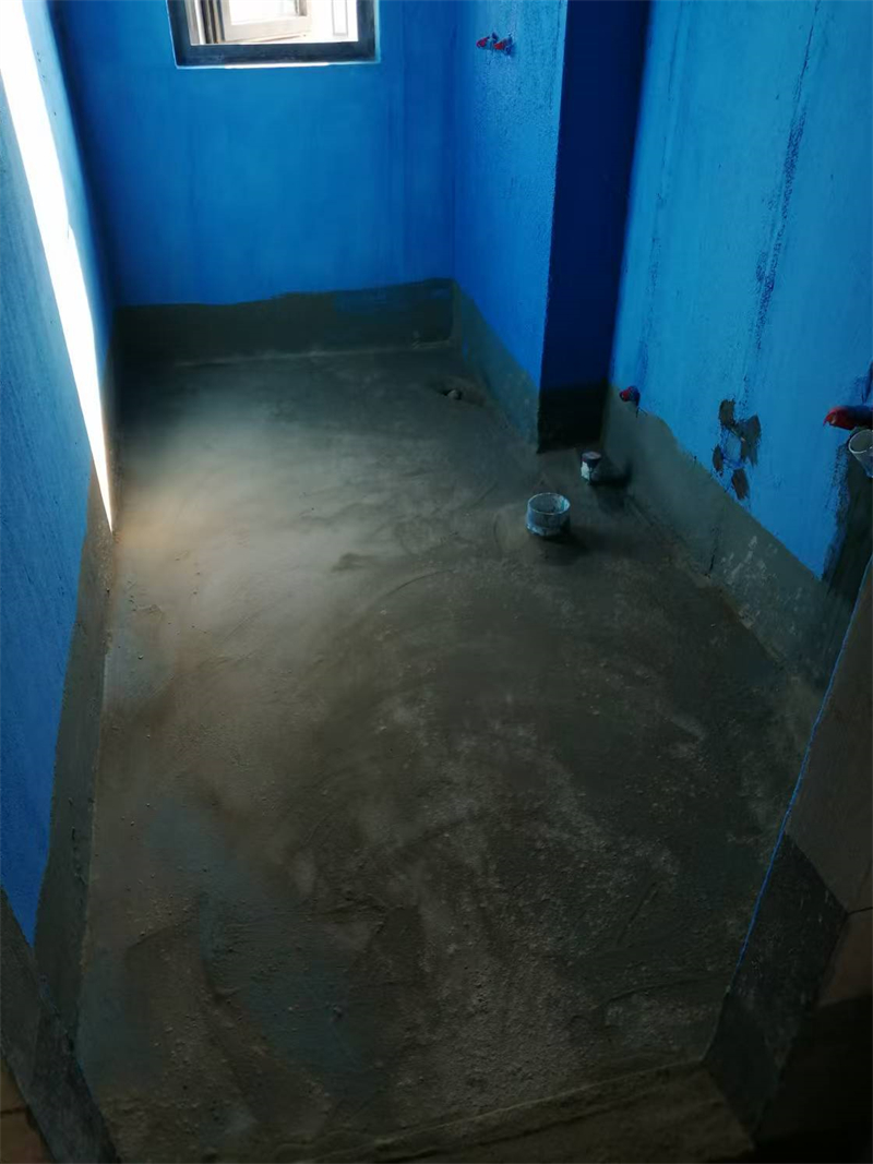 mmexport1734677722300.jpg