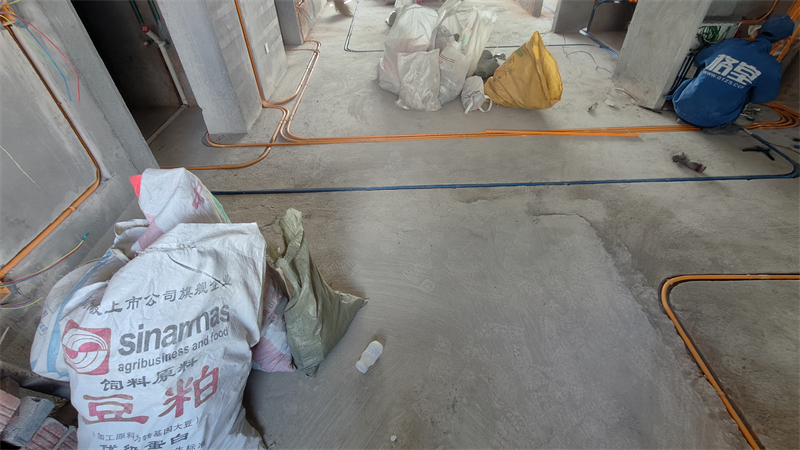 IMG20241220121337.jpg