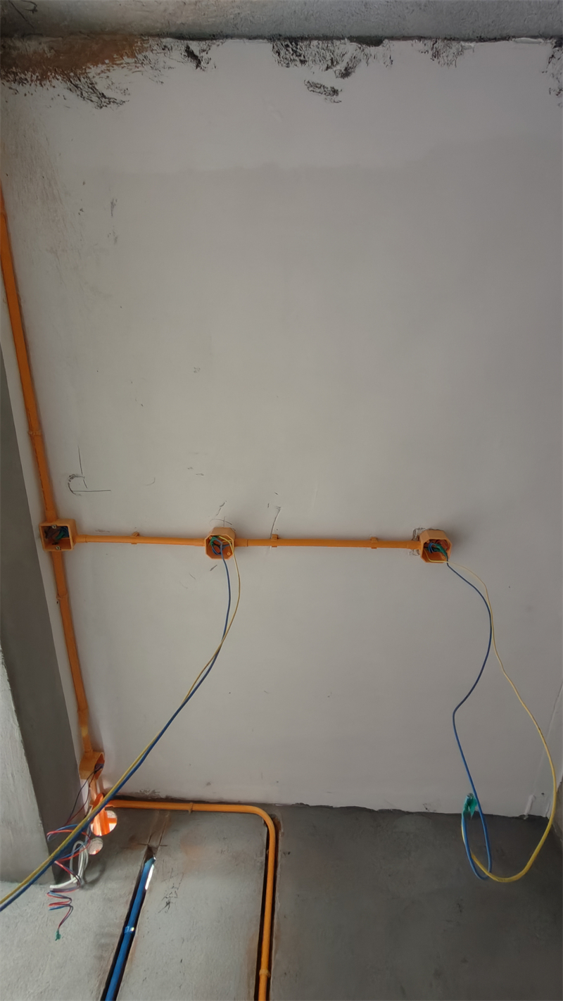 IMG20241220124015.jpg