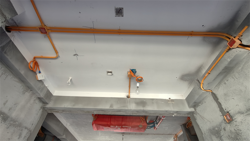 IMG20241220132748.jpg