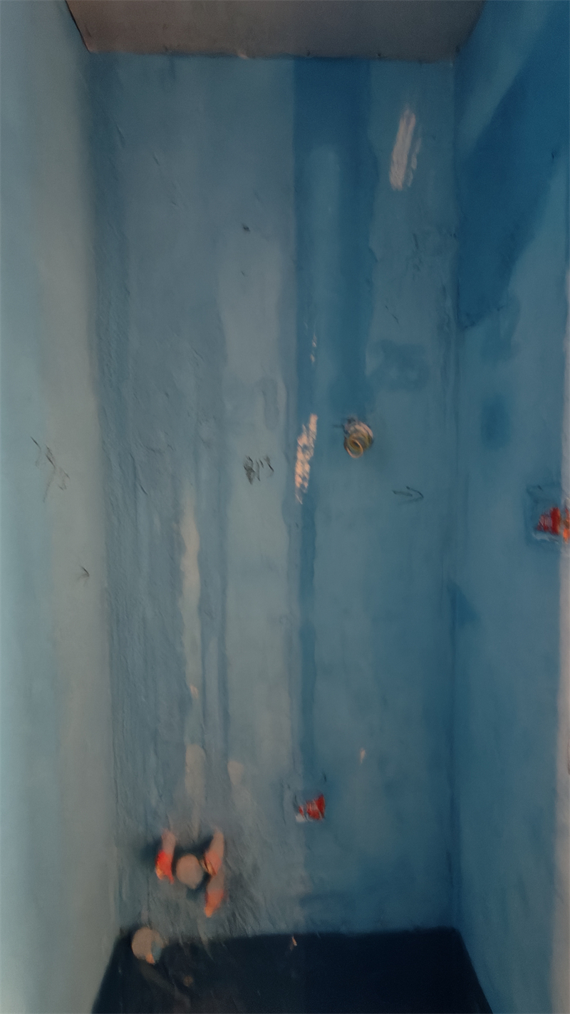 IMG20241220130238.jpg