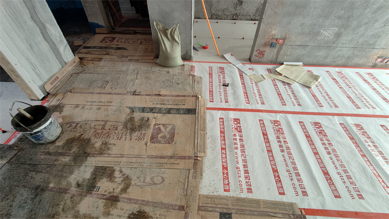 IMG20241220130418.jpg