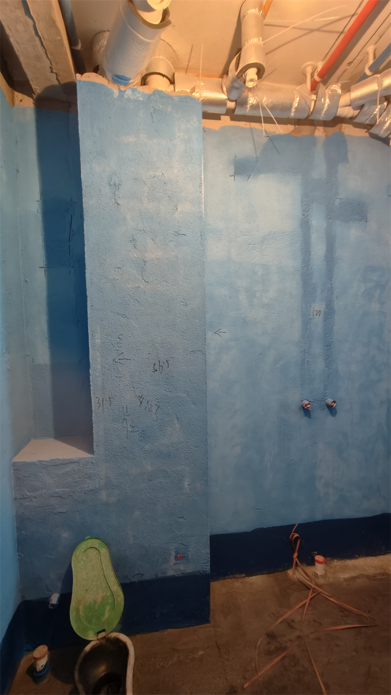 IMG20241220131432.jpg