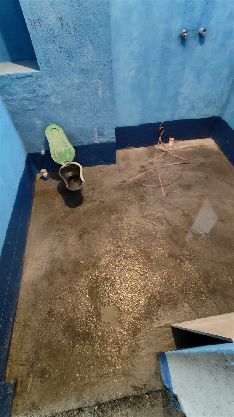 IMG20241220131434.jpg