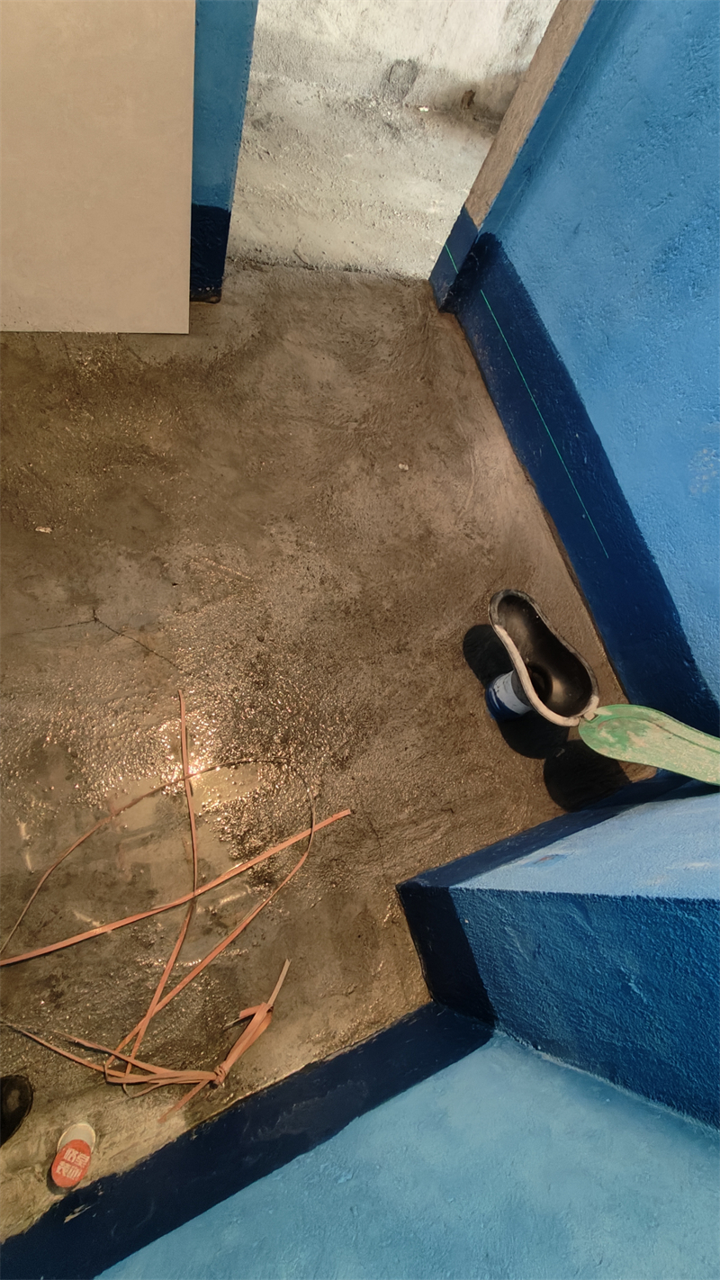IMG20241220131549.jpg