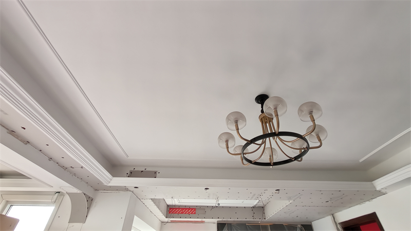 IMG20241220091624.jpg