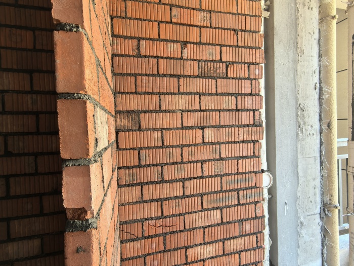 IMG_20241220_101548.jpg