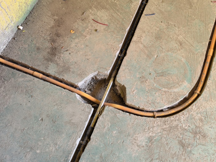 IMG_20241222_092049.jpg