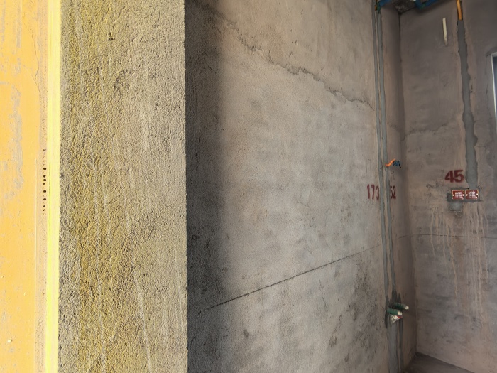 IMG_20241222_142826.jpg