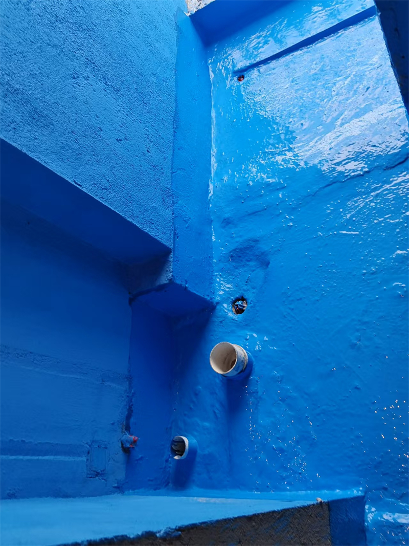 mmexport1734946138524.jpg