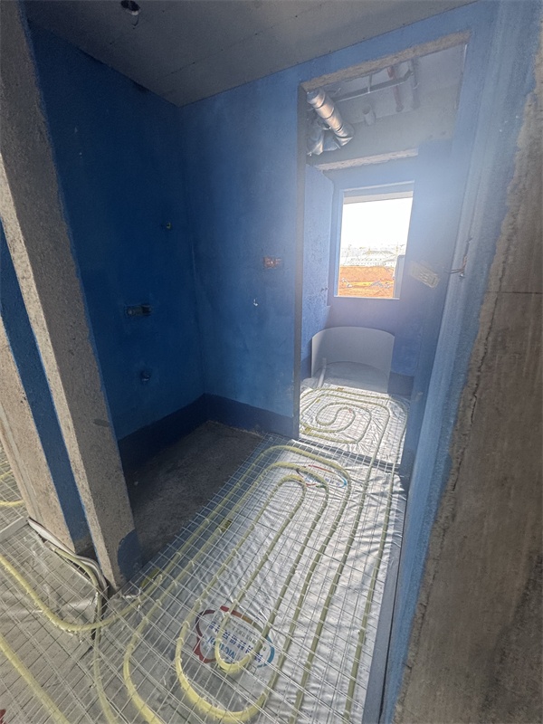 mmexport1734946249384.jpg