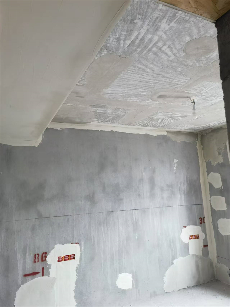 mmexport1735020417411.jpg