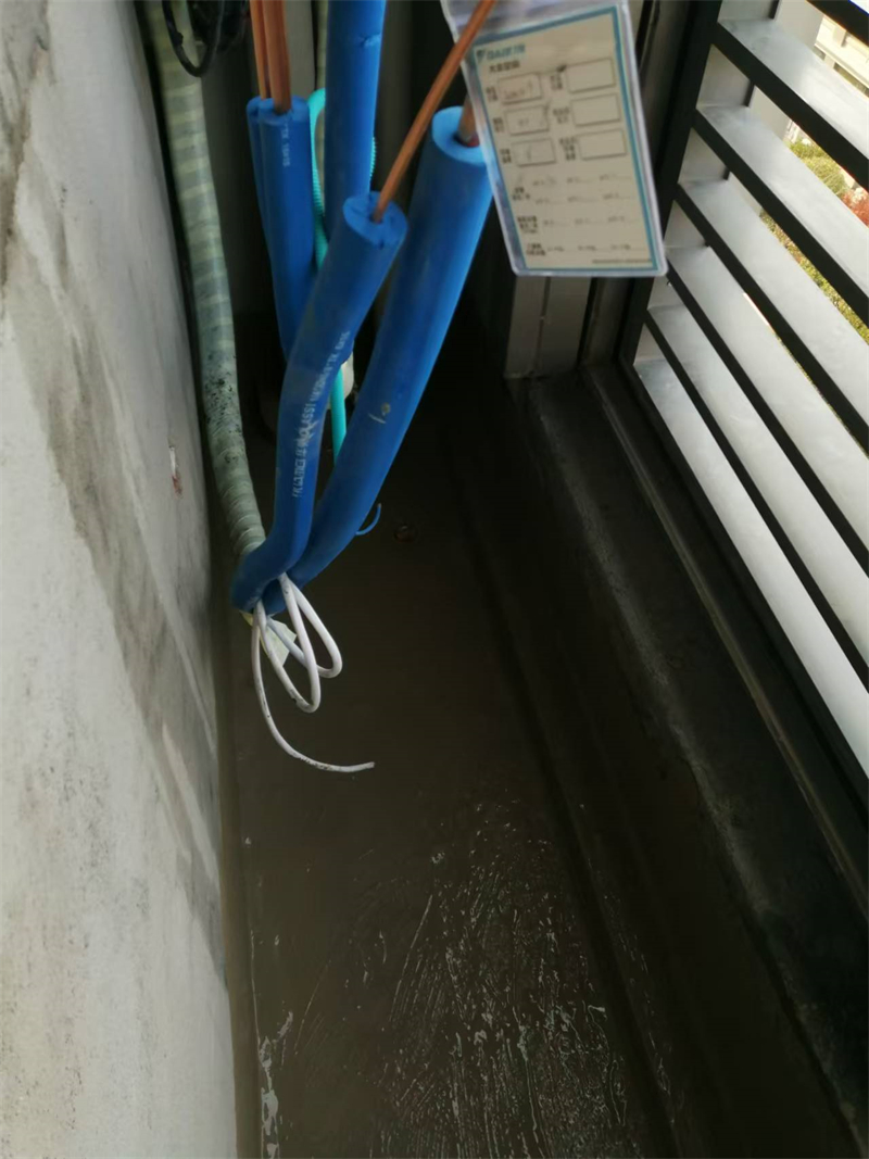 mmexport1735030569734.jpg