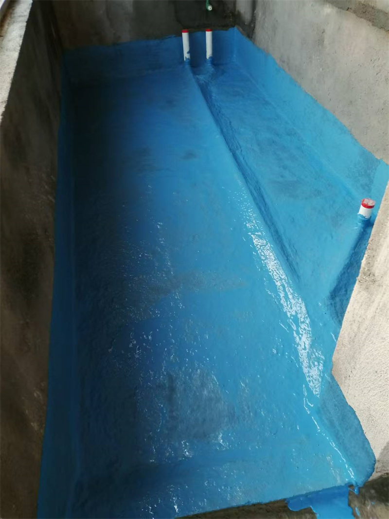 mmexport1735107229140.jpg