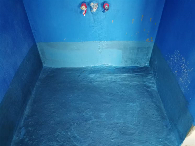 mmexport1735107236632.jpg