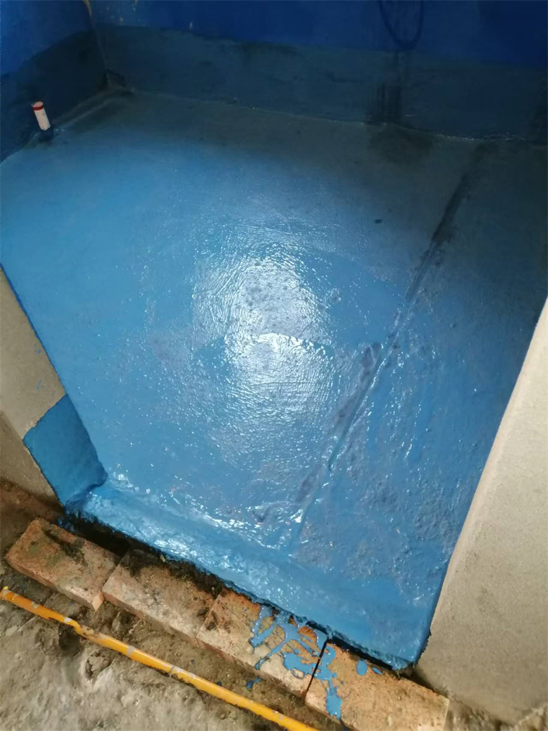mmexport1735107232877.jpg