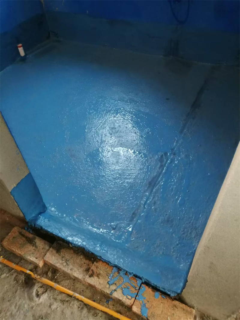 mmexport1735107234751.jpg