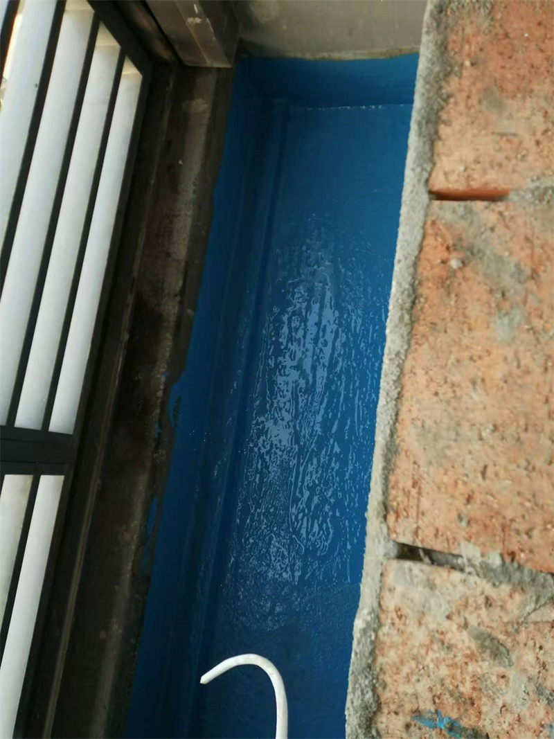 mmexport1735107245891.jpg