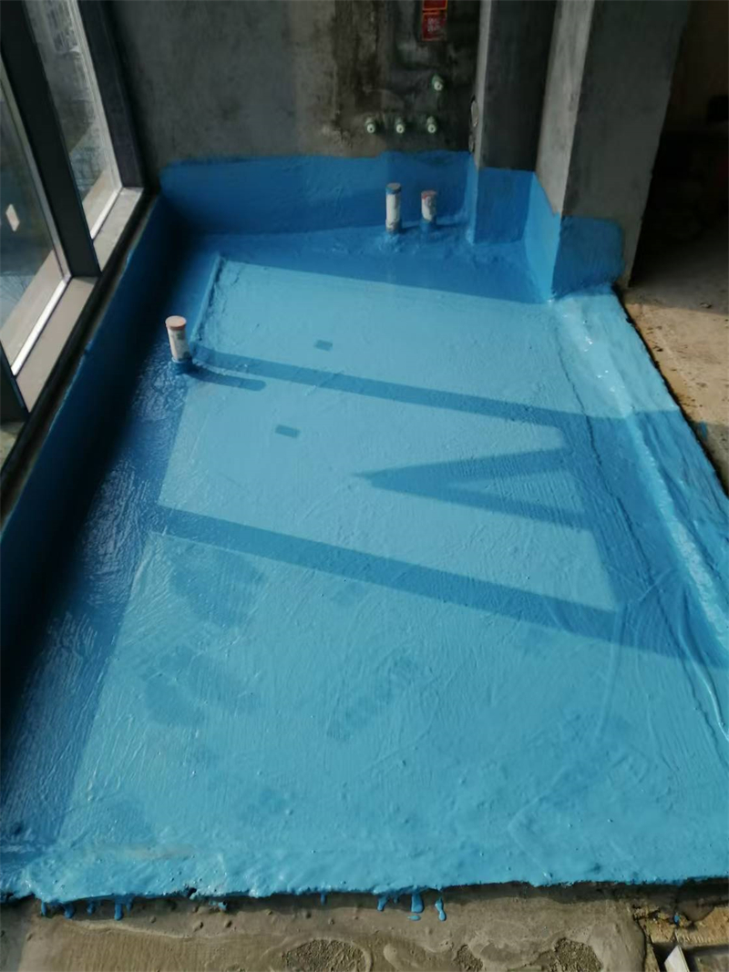 mmexport1735106584942.jpg
