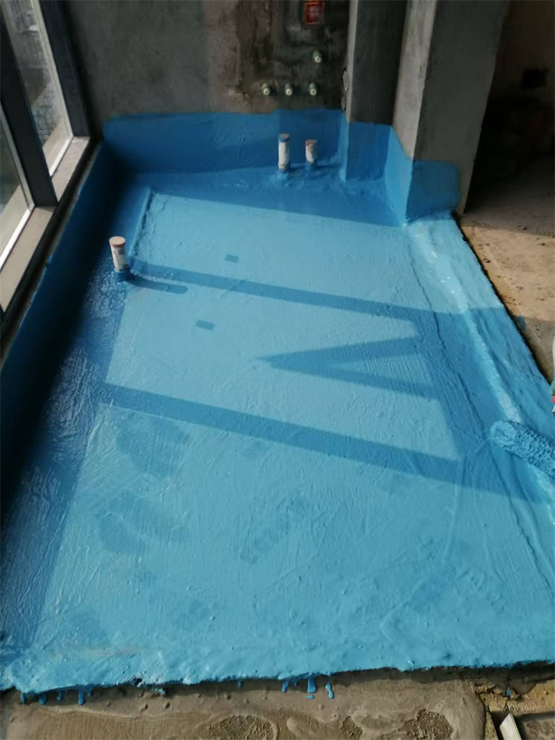 mmexport1735106582923.jpg
