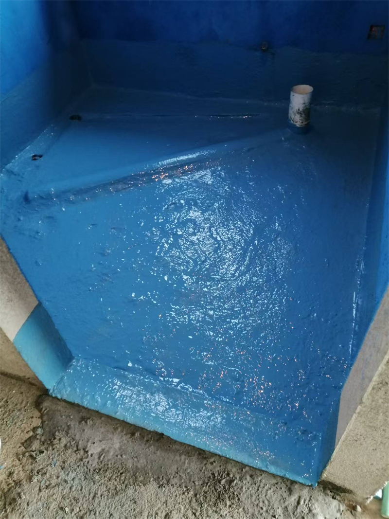 mmexport1735106589001.jpg