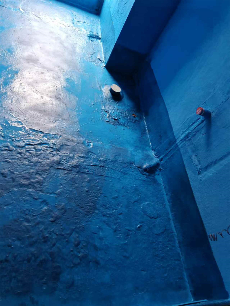 mmexport1735282372382.jpg