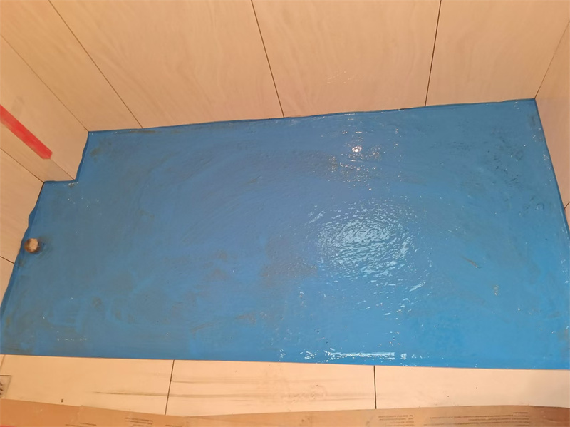 mmexport1735282479869.jpg