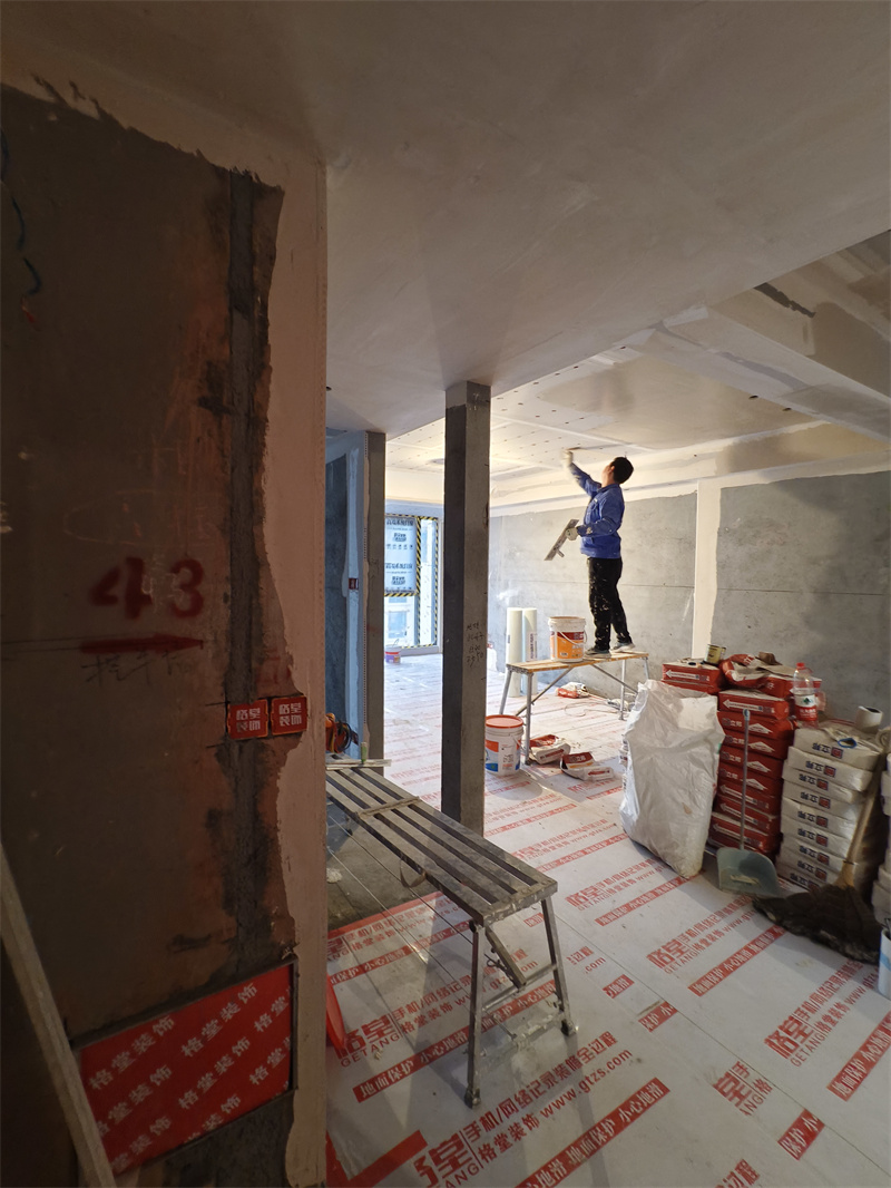 IMG_20241227_082826.jpg
