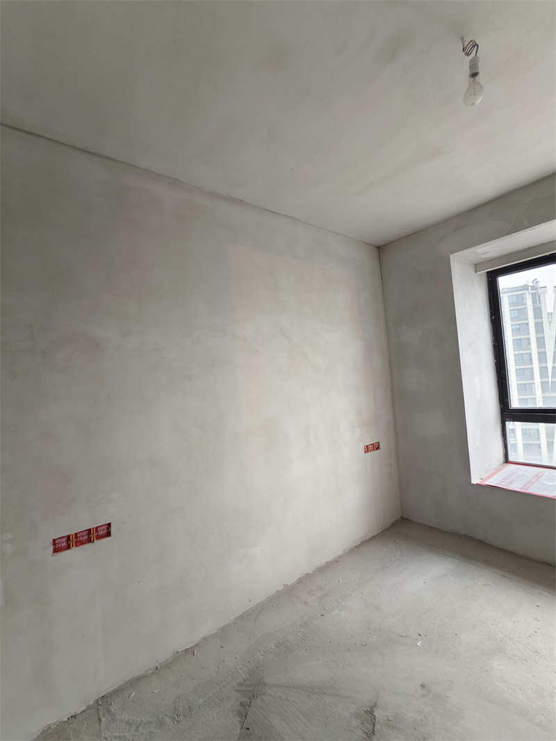 IMG_20241227_095912.jpg