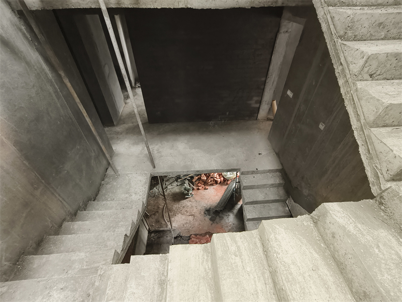 IMG_20241227_105223.jpg