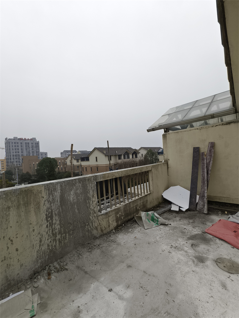 IMG_20241227_105419.jpg