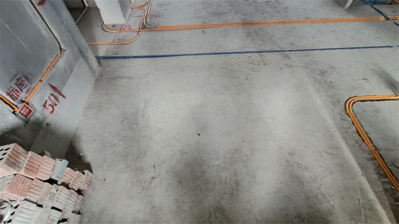 IMG20241227143150.jpg