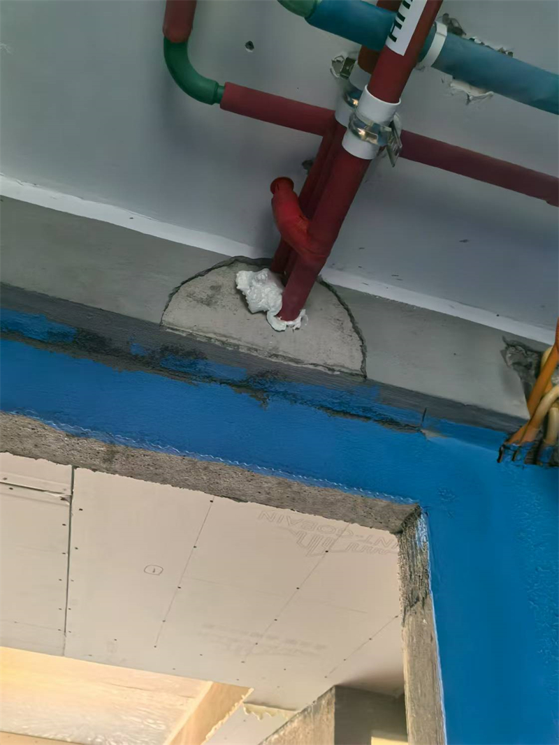΢��ͼƬ_20241228103312.jpg