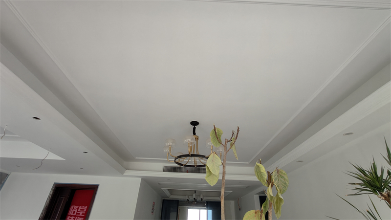 IMG20241226085127.jpg