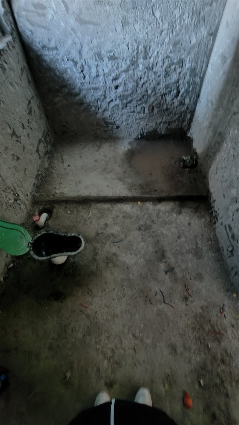 IMG20241228142336.jpg