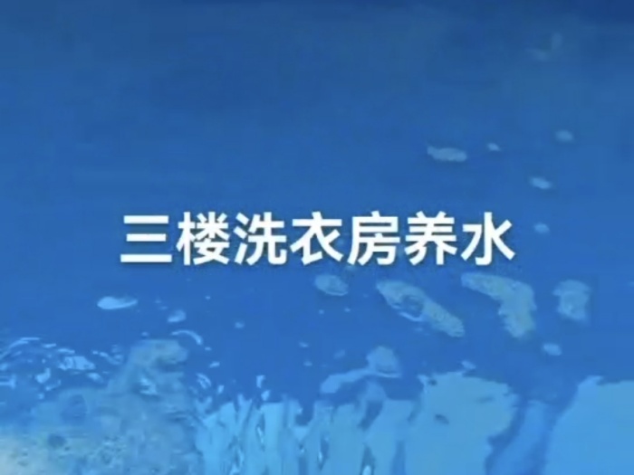 Screenshot_20241229_153859_com.tencent.mm.jpg