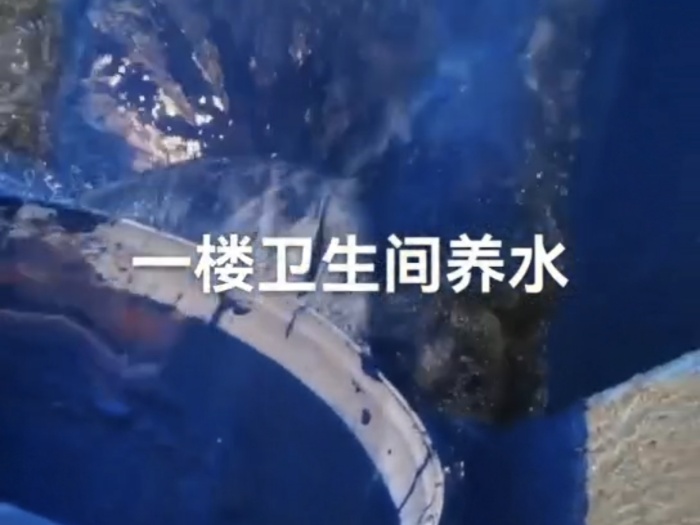 Screenshot_20241229_153921_com.tencent.mm.jpg