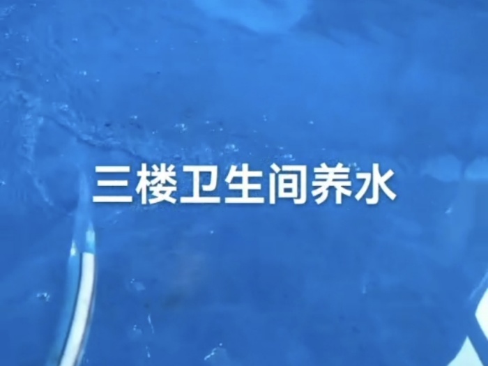 Screenshot_20241229_153910_com.tencent.mm.jpg