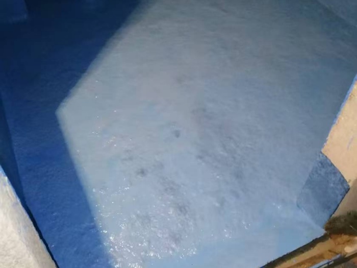 mmexport1735457367688.jpg