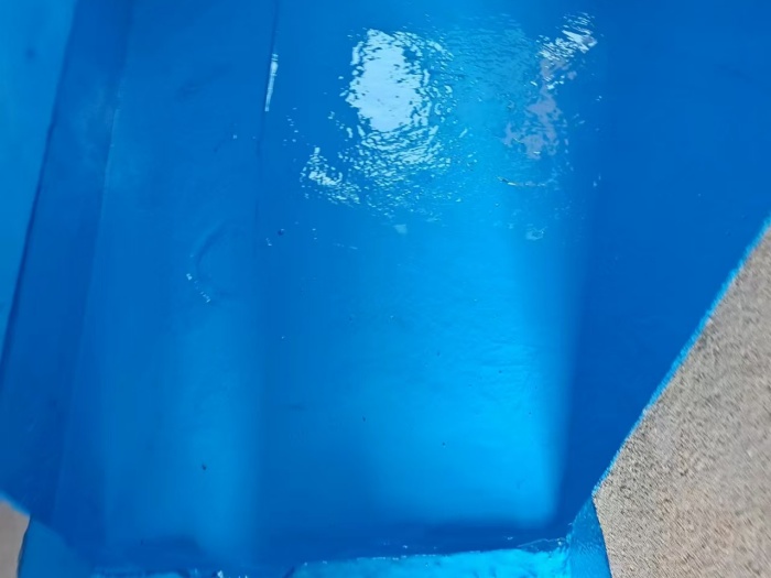 mmexport1735457522072.jpg