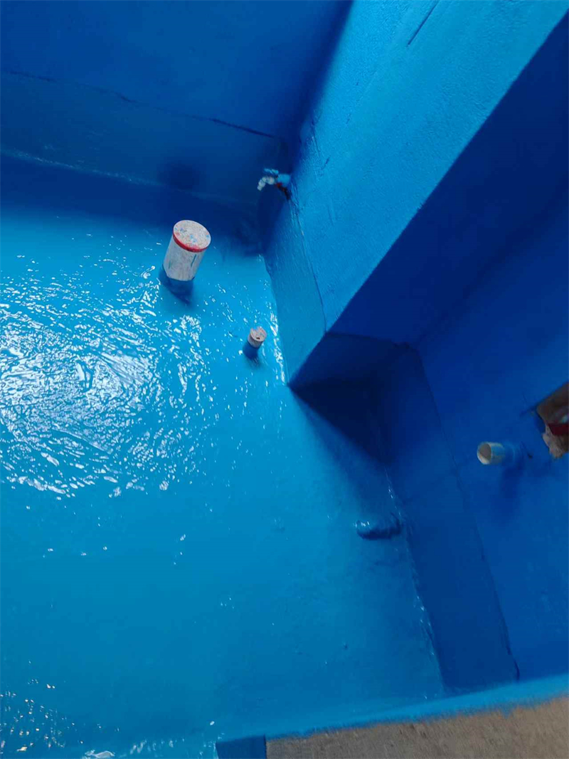 mmexport1735477635584.jpg
