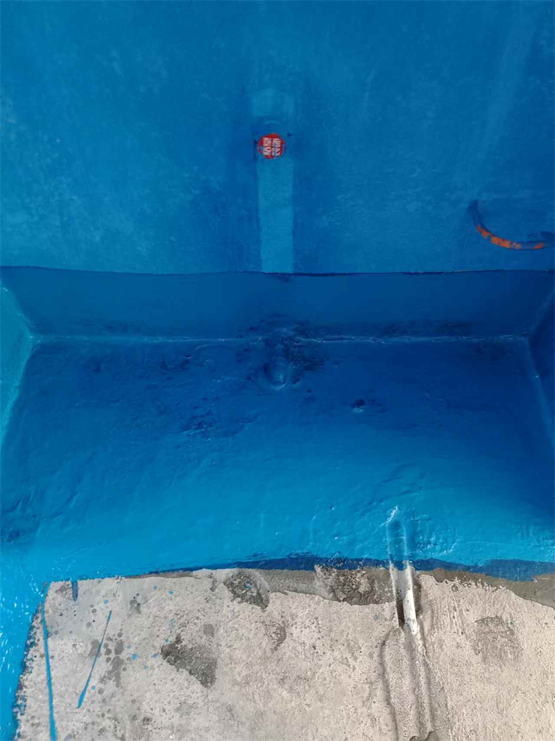 mmexport1735477637524.jpg