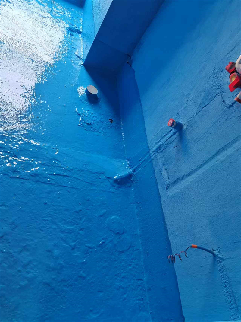 mmexport1735477646143.jpg